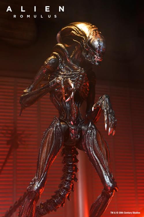 Alien: Romulus Ultimate Scorched Alien Xenomorph image 6
