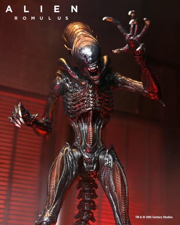 Alien: Romulus Ultimate Scorched Alien Xenomorph image 7