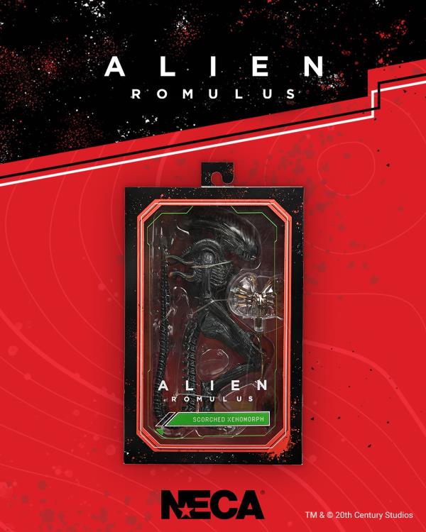 Alien: Romulus Ultimate Scorched Alien Xenomorph image 9