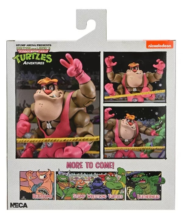 Teenage Mutant Ninja Turtles Adventures Stump Wrestling Cryin' Houn' (Archie Comics) image 5