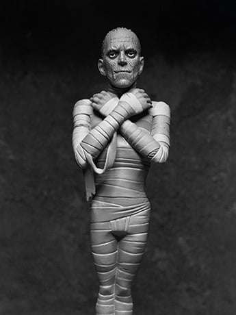 Universal Monsters Toony Terrors The Mummy (Silver Screen Edition) image 2