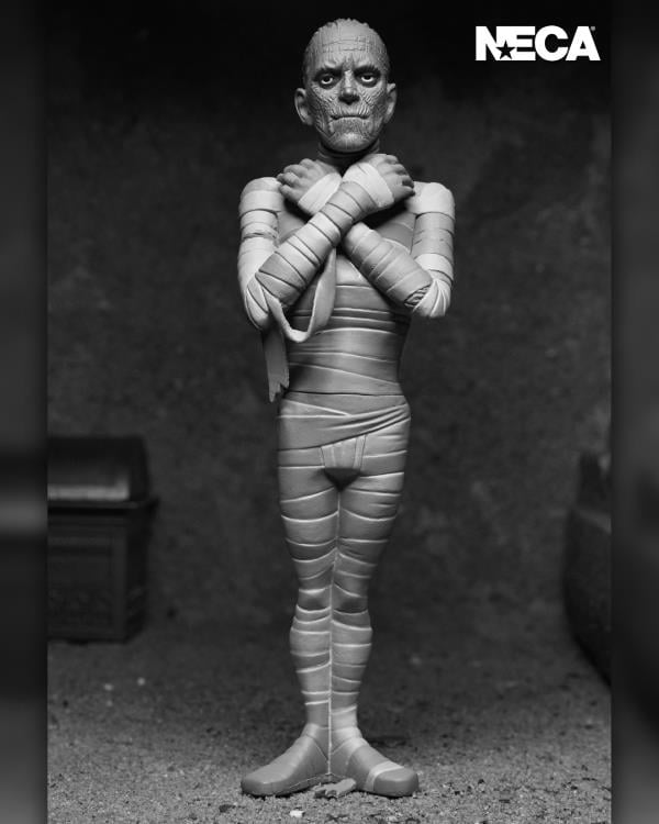 Universal Monsters Toony Terrors The Mummy (Silver Screen Edition) image 3