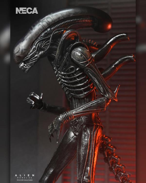 Alien: Romulus Ultimate Xenomorph XX121 image 10