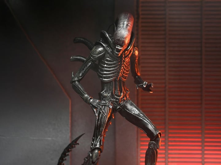 Alien: Romulus Ultimate Xenomorph XX121 image 1
