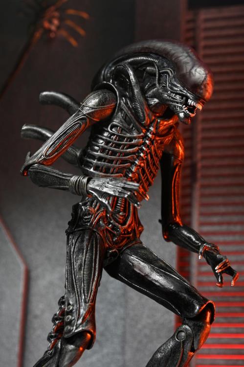 Alien: Romulus Ultimate Xenomorph XX121 image 6