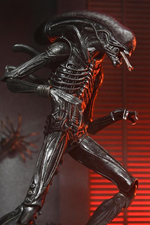 Alien: Romulus Ultimate Xenomorph XX121 image 8