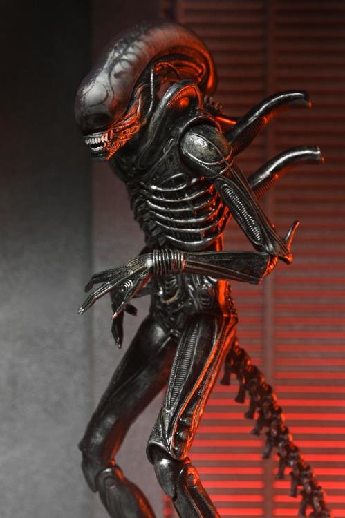 Alien: Romulus Ultimate Xenomorph XX121 image 9