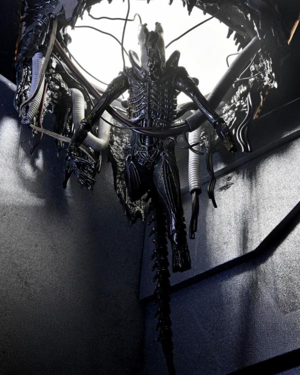 Alien: Romulus Suspended Lab Xenomorph XX121 Deluxe image 3