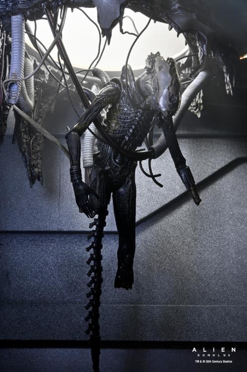 Alien: Romulus Suspended Lab Xenomorph XX121 Deluxe image 4