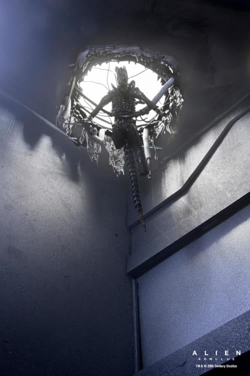 Alien: Romulus Suspended Lab Xenomorph XX121 Deluxe image 6
