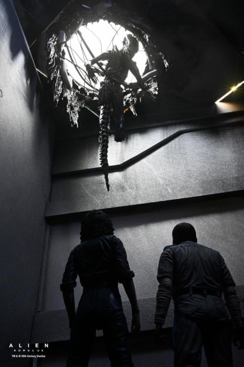 Alien: Romulus Suspended Lab Xenomorph XX121 Deluxe image 7