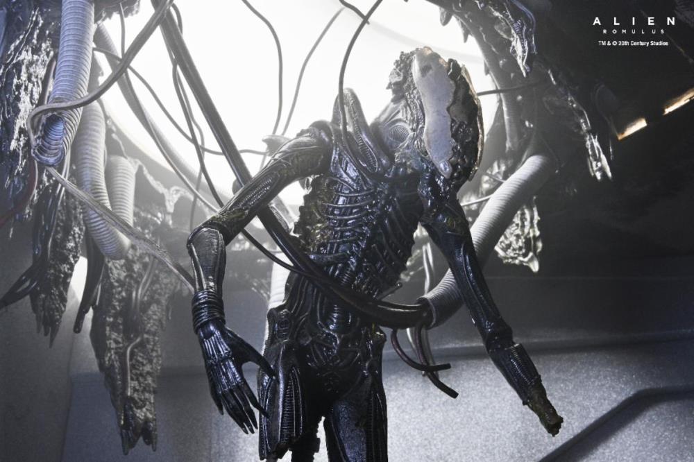 Alien: Romulus Suspended Lab Xenomorph XX121 Deluxe image 8