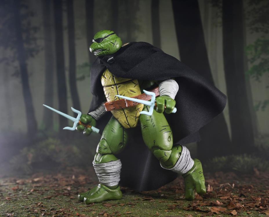 Teenage Mutant Ninja Turtles Old Man Raphael (Mirage Comics) image 10