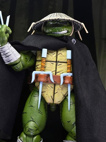 Teenage Mutant Ninja Turtles Old Man Raphael (Mirage Comics) image 2