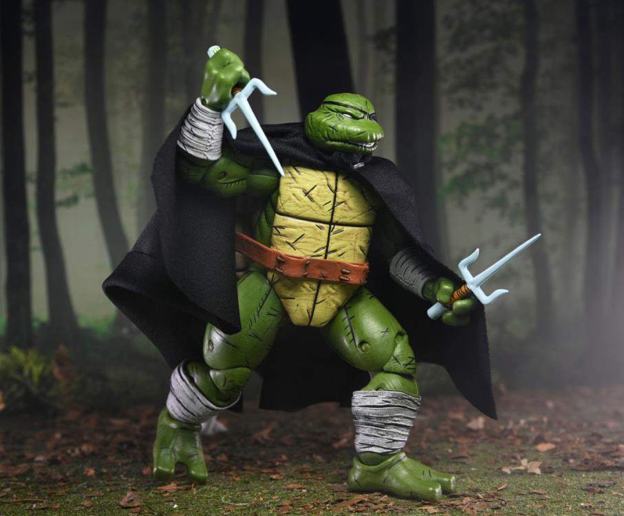 Teenage Mutant Ninja Turtles Old Man Raphael (Mirage Comics) image 9