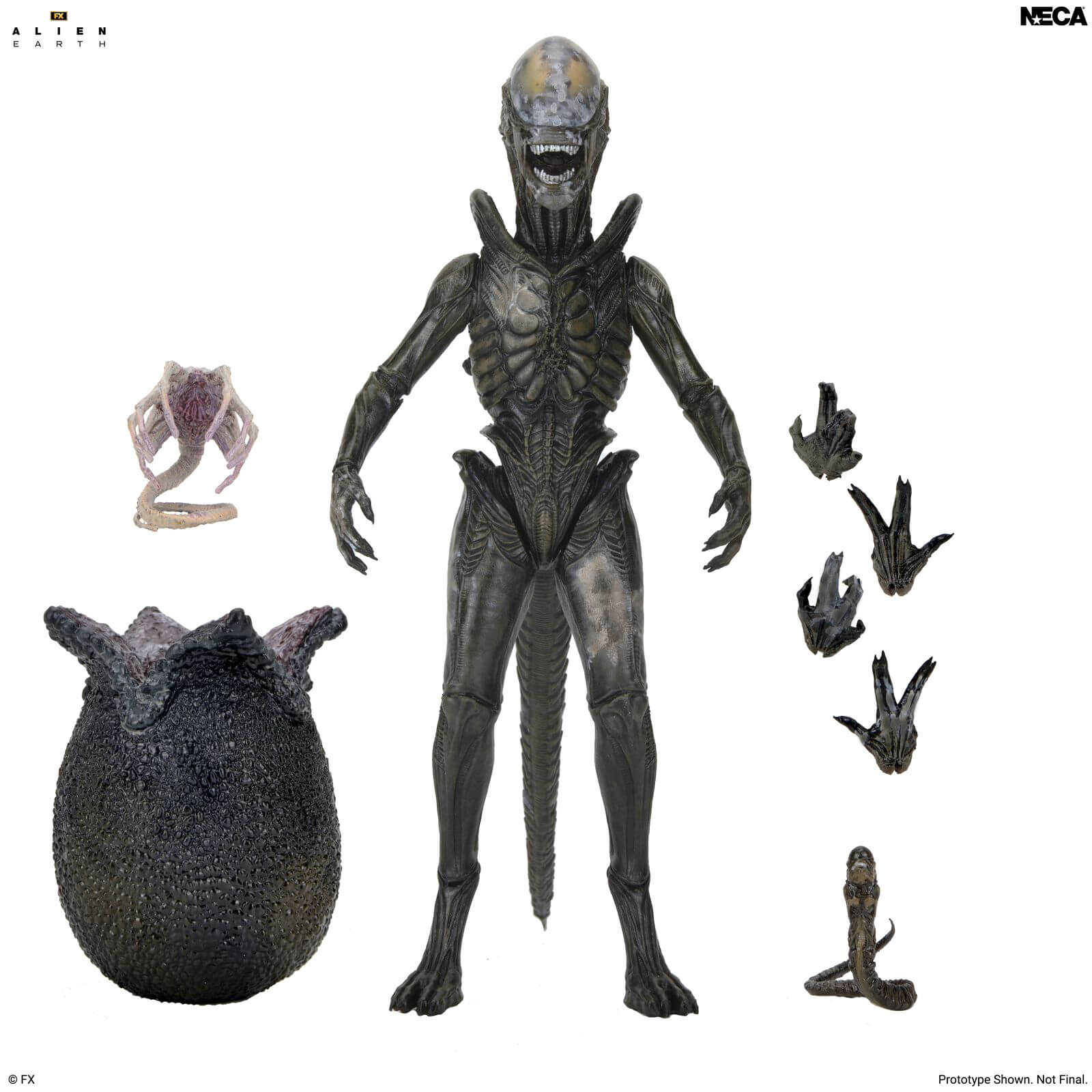 Alien: Earth Ultimate Wendy's Xenomorph image 8
