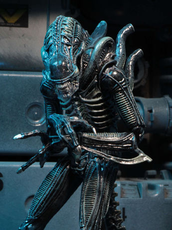 Aliens Ultimate Warrior (Blue) image 2