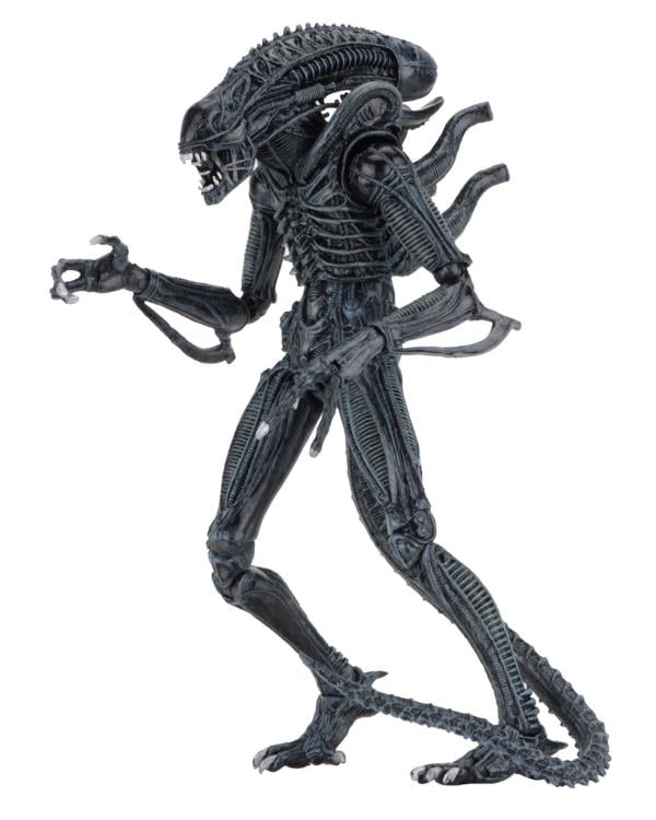 Aliens Ultimate Warrior (Blue) image 6