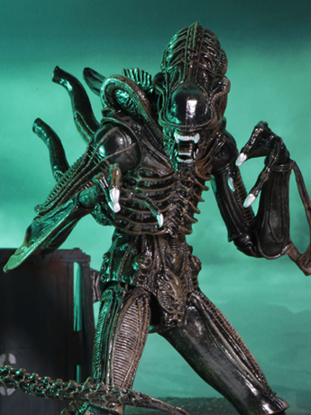 Aliens Ultimate Warrior (Brown) image 2