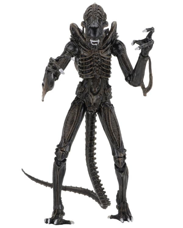 Aliens Ultimate Warrior (Brown) image 7