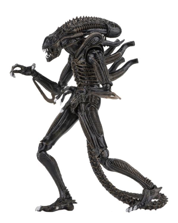 Aliens Ultimate Warrior (Brown) image 8