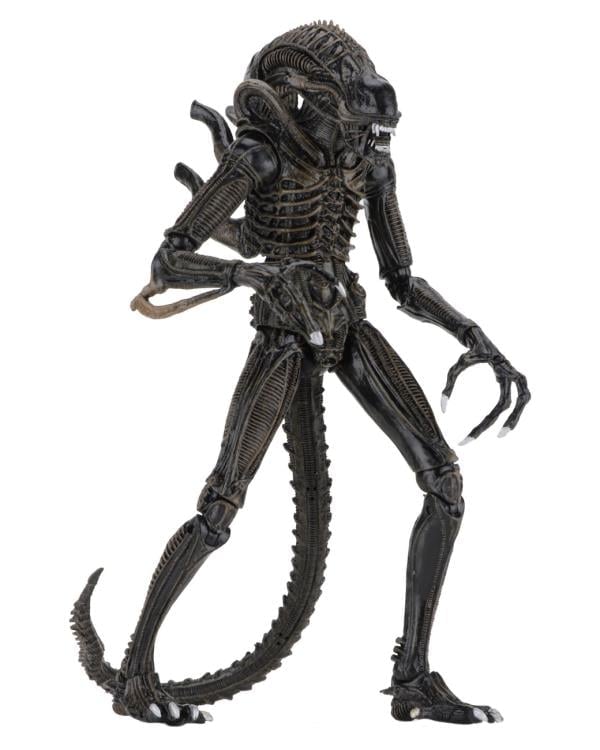 Aliens Ultimate Warrior (Brown) image 9