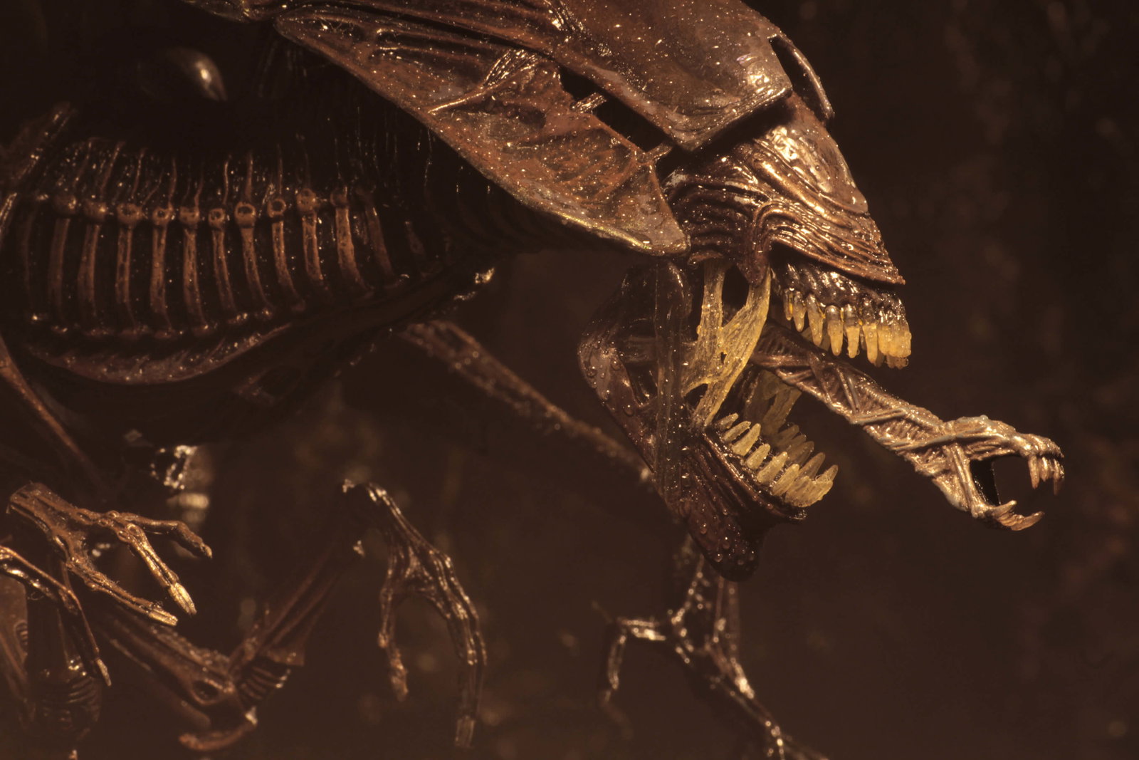 Alien: Resurrection Ultra Deluxe Alien Queen image 8
