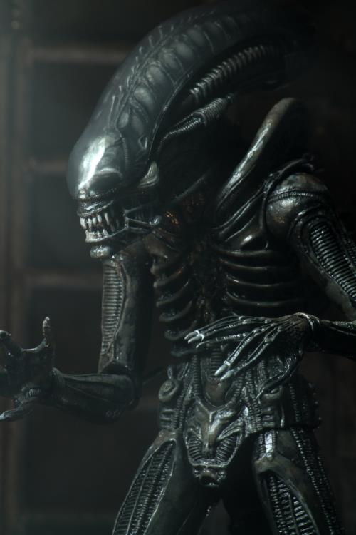 Alien 40th Anniversary Ultimate Big Chap image 8