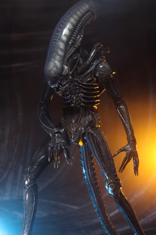 Alien 40th Anniversary Big Chap image 4