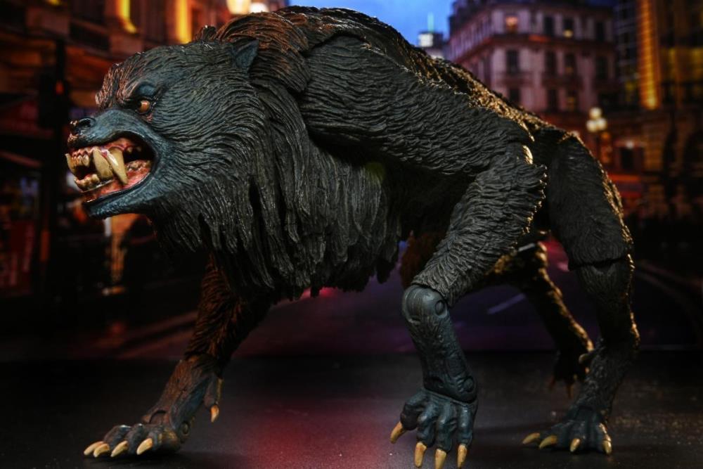 An American Werewolf In London Ultimate Kessler Werewolf image 4