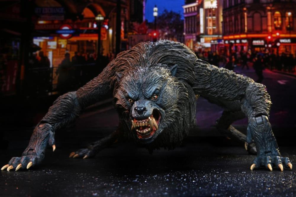 An American Werewolf In London Ultimate Kessler Werewolf image 5