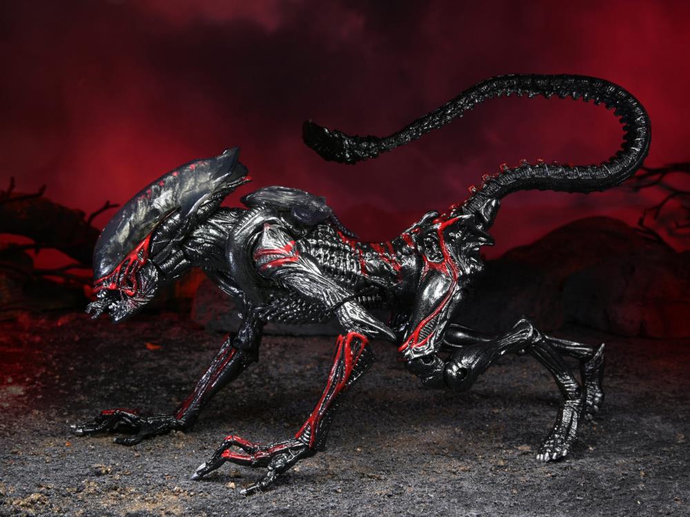 Aliens Kenner Tribute Night Cougar Alien image 10