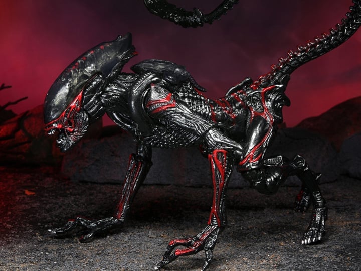 Aliens Kenner Tribute Night Cougar Alien image 1