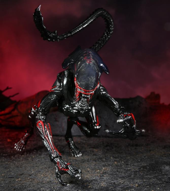 Aliens Kenner Tribute Night Cougar Alien image 5