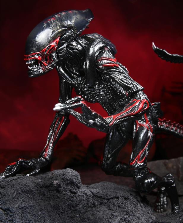 Aliens Kenner Tribute Night Cougar Alien image 6