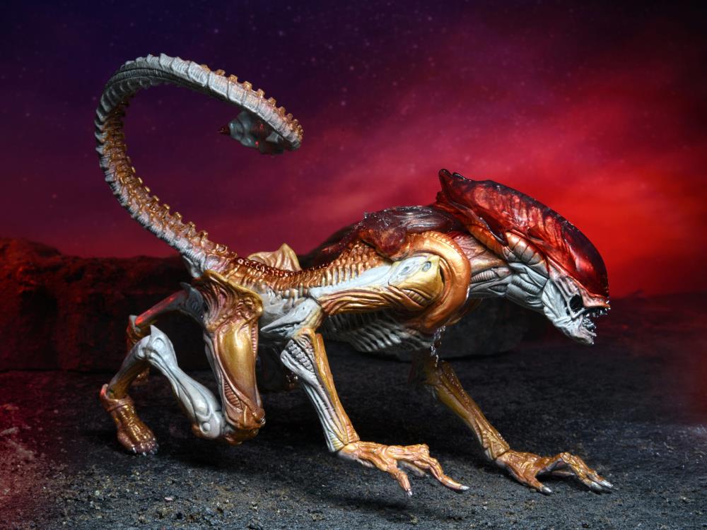 Aliens Kenner Tribute Panther Alien image 3