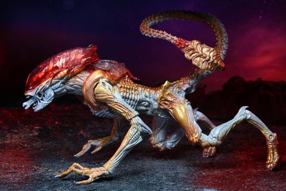 Aliens Kenner Tribute Panther Alien image 5