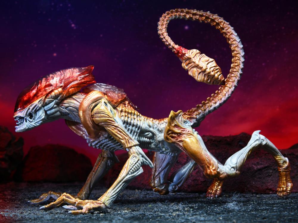 Aliens Kenner Tribute Panther Alien image 7