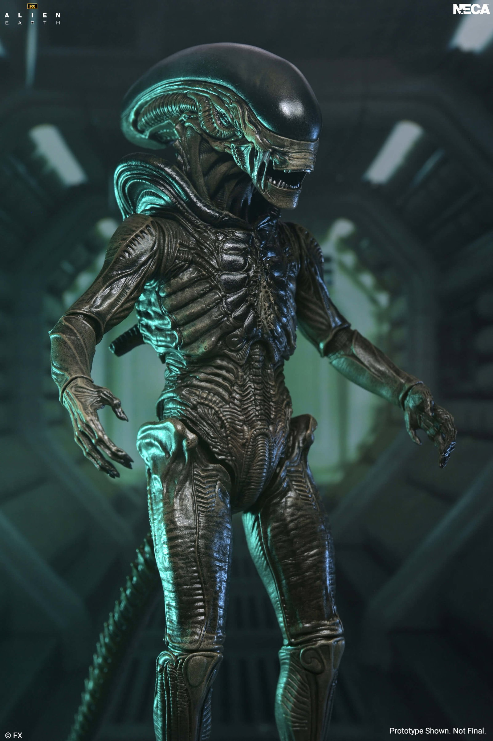 Alien: Earth Ultimate Xenomorph image 2