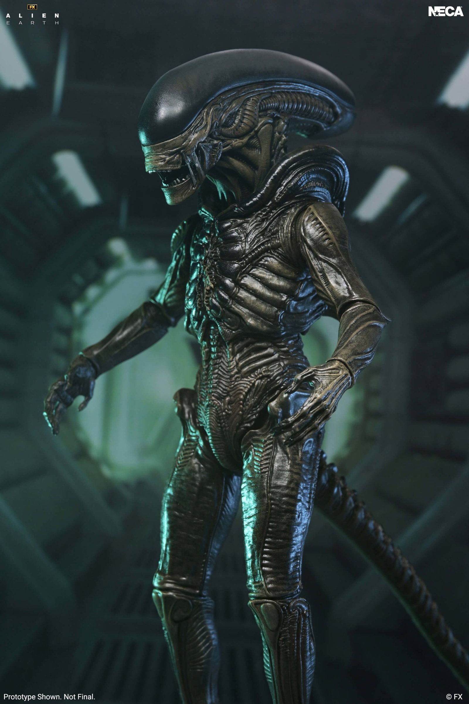 Alien: Earth Ultimate Xenomorph image 3
