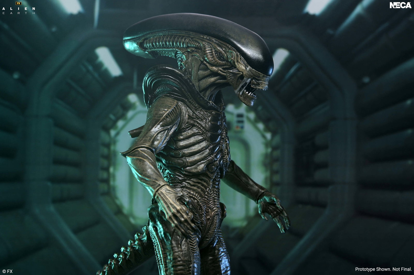 Alien: Earth Ultimate Xenomorph image 4