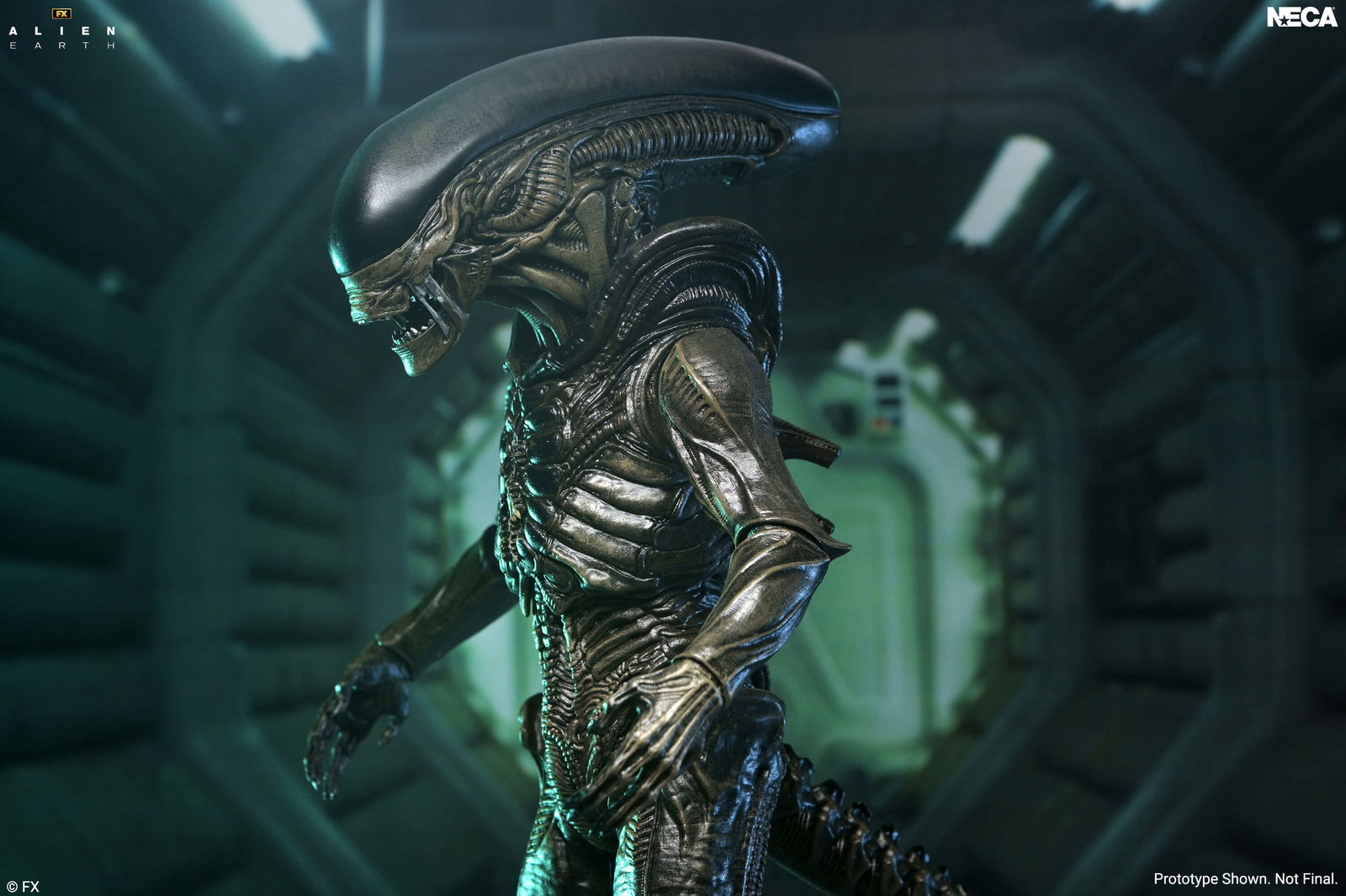 Alien: Earth Ultimate Xenomorph image 5
