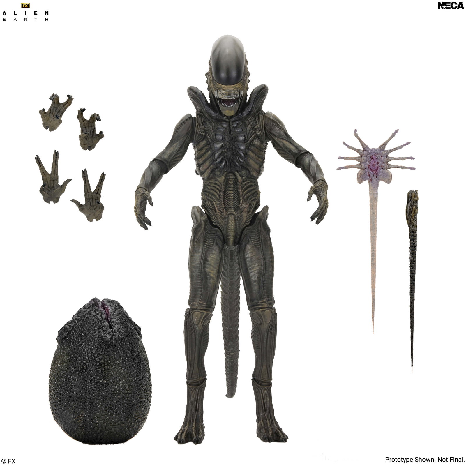 Alien: Earth Ultimate Xenomorph image 6