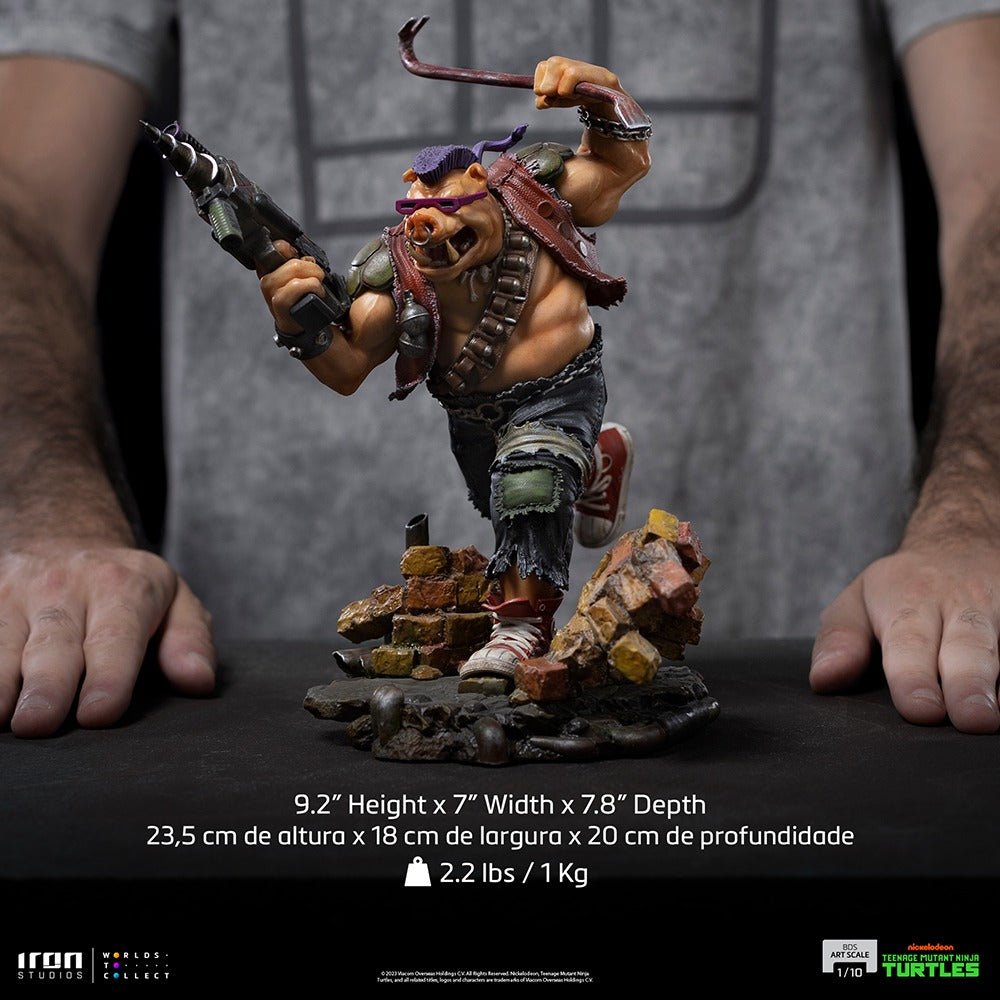 Bebop - Teenage Mutant Ninja Turtles - BDS image 7