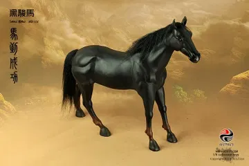 黑骏马