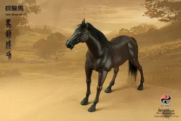 棕骏马