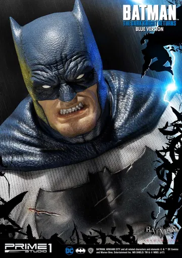 Batman: Arkham City (The Dark Knight Returns) Batman Blue Version