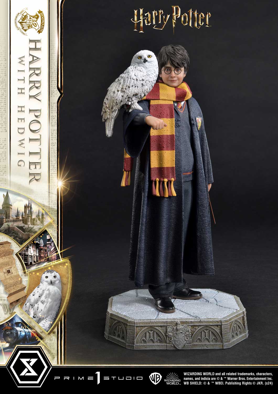 Harry Potter With Hedwig image 5