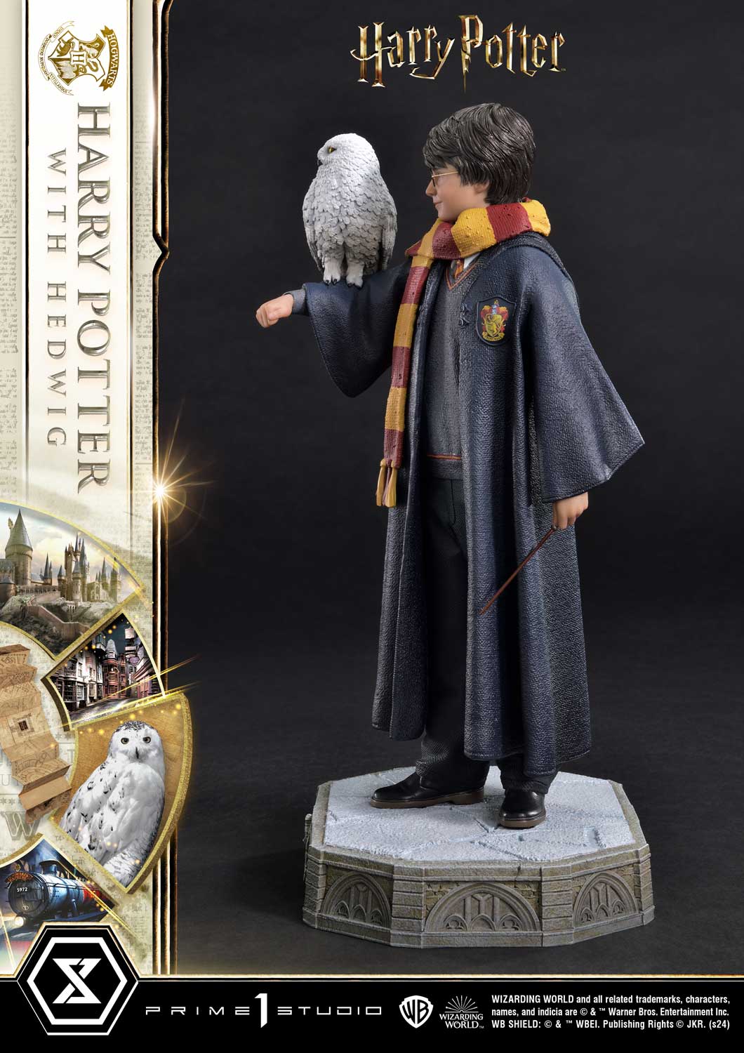 Harry Potter With Hedwig image 9