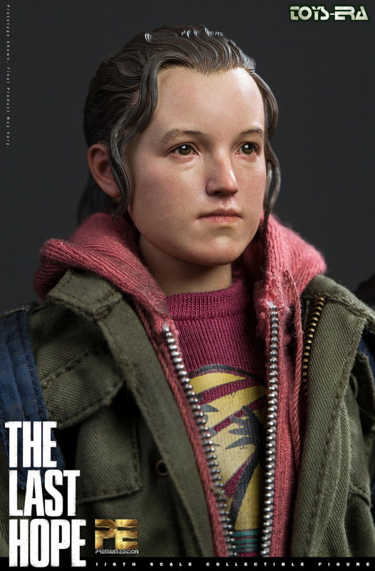 The Last Hope image 10